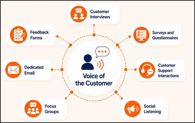 Components of Voice of the Customer