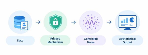 Differential Privacy Process