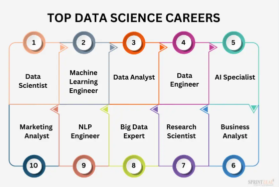 Data Science Career